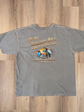 Harley-Davidson Jackson Hole Wyoming T Shirt Mens 2XL Gray Chester’s Dealer Grap